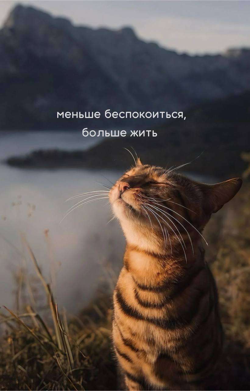 Наталья Шляпникова
