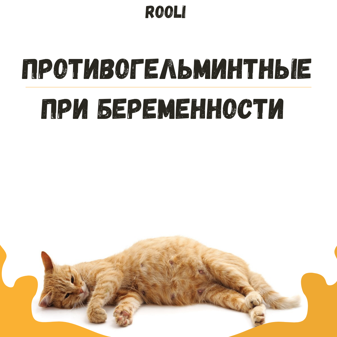 🐾 Противогельминтные препараты при беременности у собак и кошек 🐶🐱…