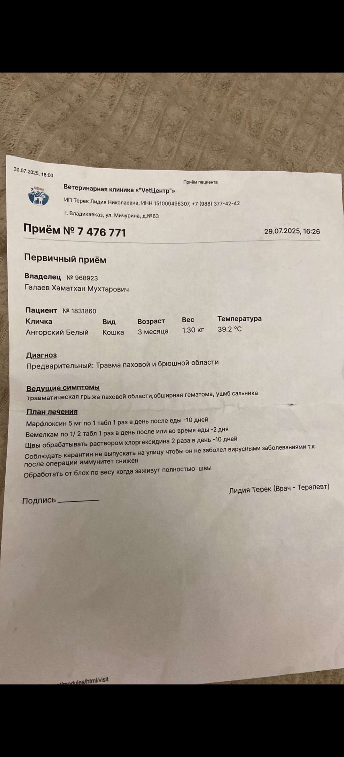 Здравствуйте. Дело в том, что мы подобрали котёнка с улицы и отвезли…